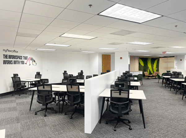 Myflexoffice Office for rent in Miami Brickel 650 Open space